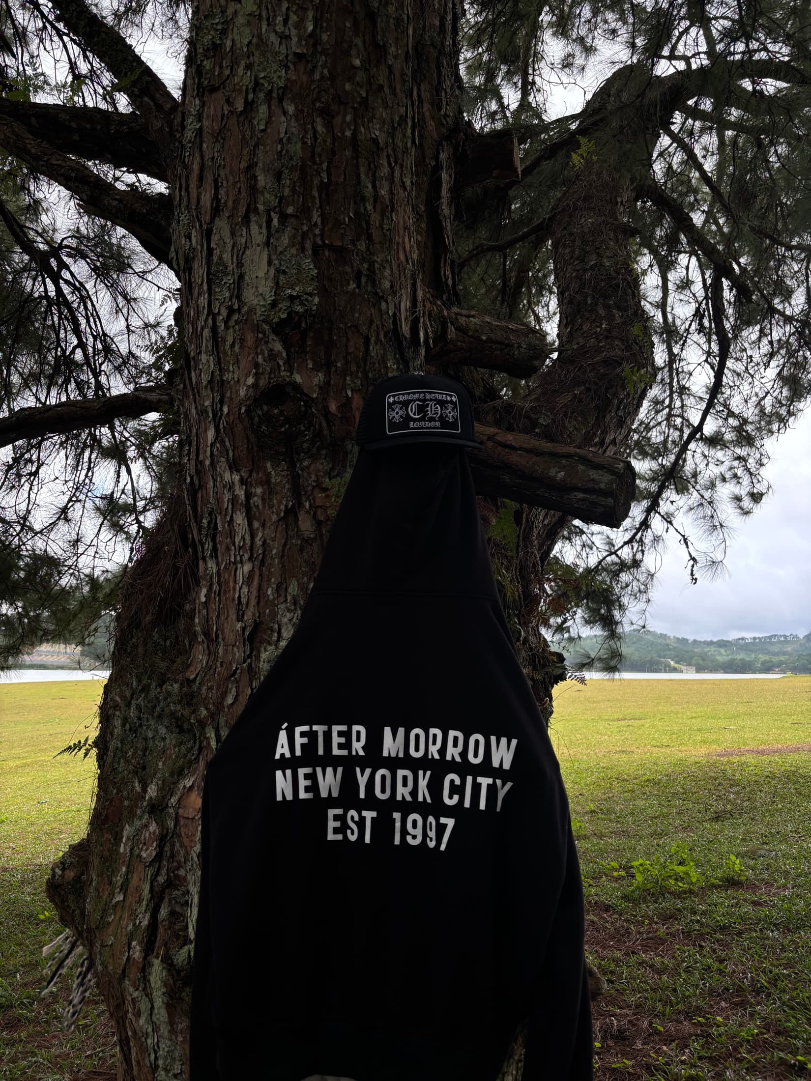 Person wearing a black After Morrow hoodie and cap in front of a large tree